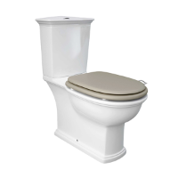 RAK WASHINGTON CL/COUP DUAL FL CISTERN