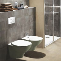 Chartham Beyond wall hung rimless WC pan