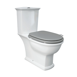 RAK WASHINGTON CL/COUP DUAL FL CISTERN