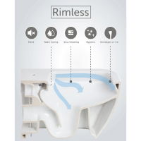 SWC Rimless WC Technology